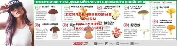 ГАЛЛЮЦИНОГЕННЫЕ ГРИБЫ Белоозёрский